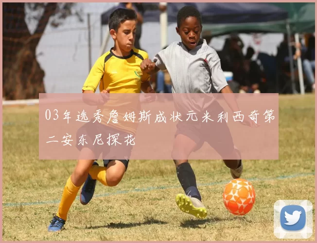 03年选秀詹姆斯成状元米利西奇第二安东尼探花