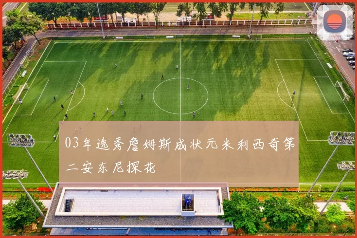 03年选秀詹姆斯成状元米利西奇第二安东尼探花