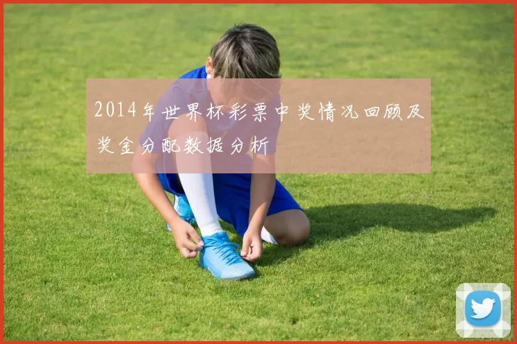 2014年世界杯彩票中奖情况回顾及奖金分配数据分析
